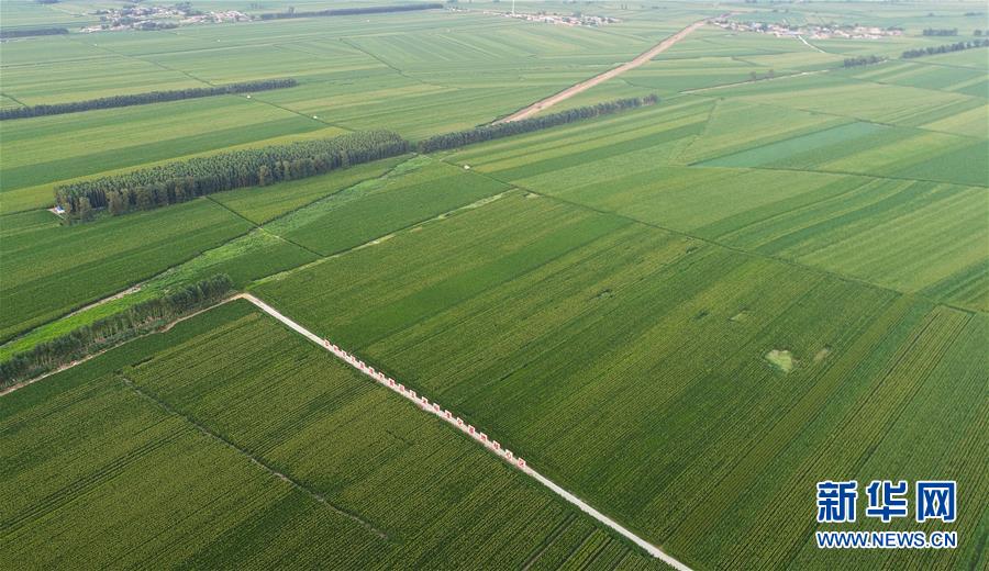 （在習(xí)近平新時代中國特色社會主義思想指引下&mdash;&mdash;新時代新作為新篇章&middot;習(xí)近平總書記關(guān)切事&middot;圖文互動）（2）為黑土加&ldquo;油&rdquo;&mdash;&mdash;&ldquo;耕地中的大熊貓&rdquo;，我們這樣保護(hù)