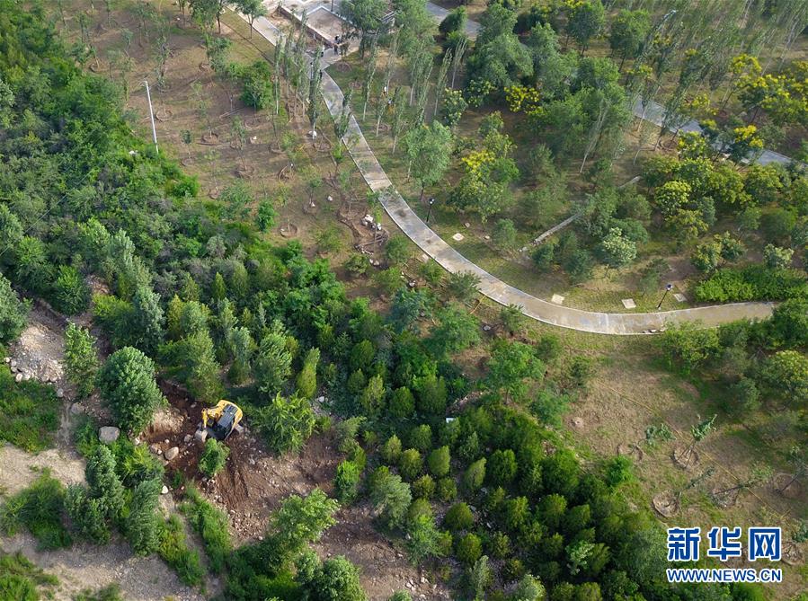 （新華全媒頭條&middot;圖文互動(dòng)）（15）扎實(shí)推進(jìn)籌辦，不負(fù)青春韶華&mdash;&mdash;北京冬奧會(huì)籌辦備戰(zhàn)克服疫情影響平穩(wěn)推進(jìn)