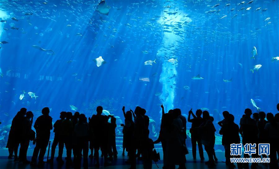 （在習(xí)近平新時(shí)代中國特色社會主義思想指引下&mdash;&mdash;新時(shí)代新作為新篇章&middot;習(xí)近平總書記關(guān)切事&middot;圖文互動(dòng)）（9）感受開放新魅力&mdash;&mdash;海南自由貿(mào)易港建設(shè)開局觀察