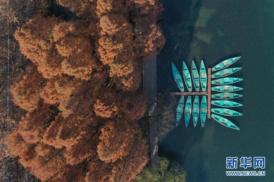 （新華全媒頭條&middot;圖文互動）（8）錢塘今朝更繁華&mdash;&mdash;高水平小康的&ldquo;杭州答卷&rdquo;