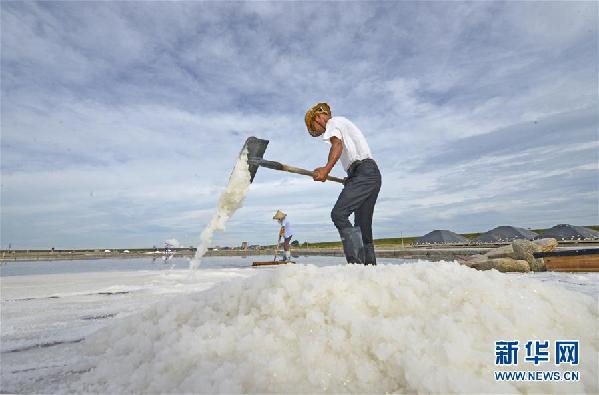 #(社會(huì))(2)福建泉州:防御臺(tái)風(fēng) 搶收原鹽