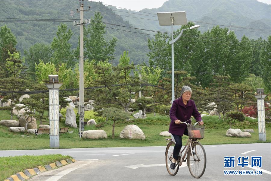 (新華視點·圖文互動)(5)警惕重金“移石造景”之風:有的景觀石一塊逾百萬元