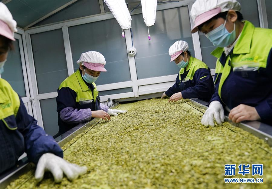 (在習近平新時代中國特色社會主義思想指引下——新時代新作為新篇章·習近平總書記關切事·圖文互動)(5)激發(fā)每個經濟“細胞”的活力——千方百計把市場主體保護好