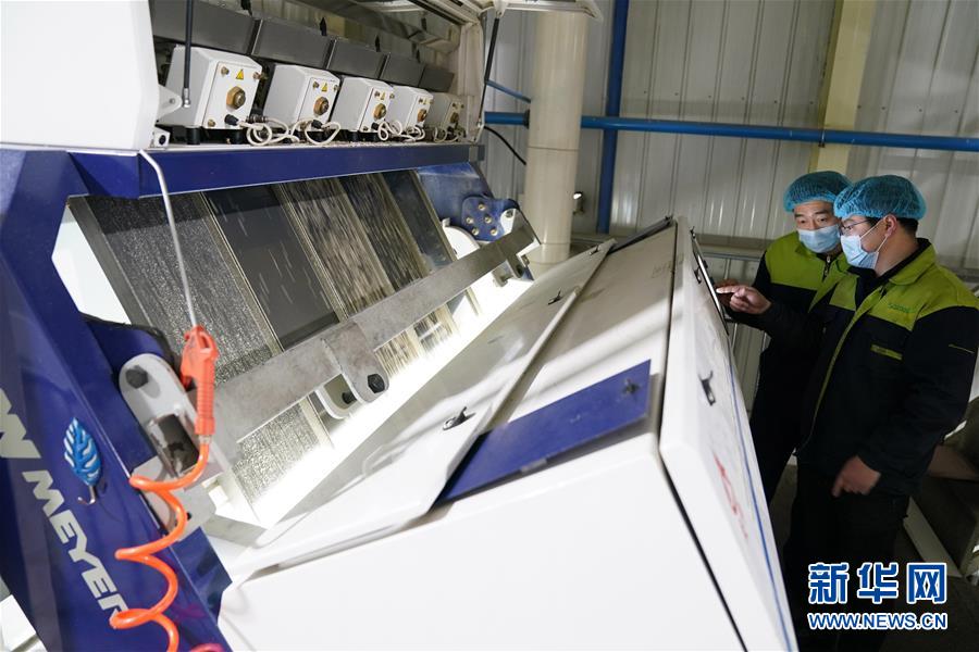 (在習近平新時代中國特色社會主義思想指引下——新時代新作為新篇章·習近平總書記關切事·圖文互動)(6)激發(fā)每個經濟“細胞”的活力——千方百計把市場主體保護好