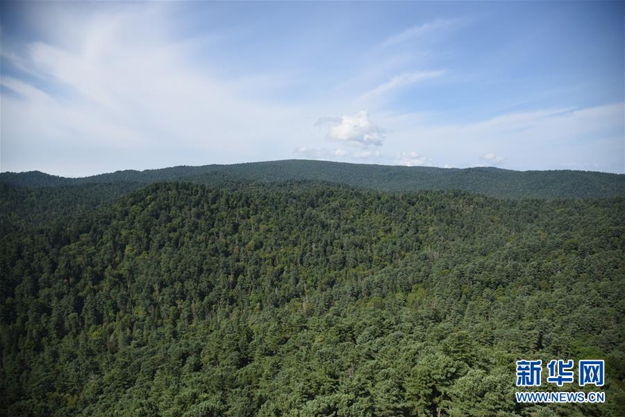 （鄉(xiāng)村振興&middot;圖文互動）守護(hù)小興安嶺的&ldquo;綠色明珠&rdquo;