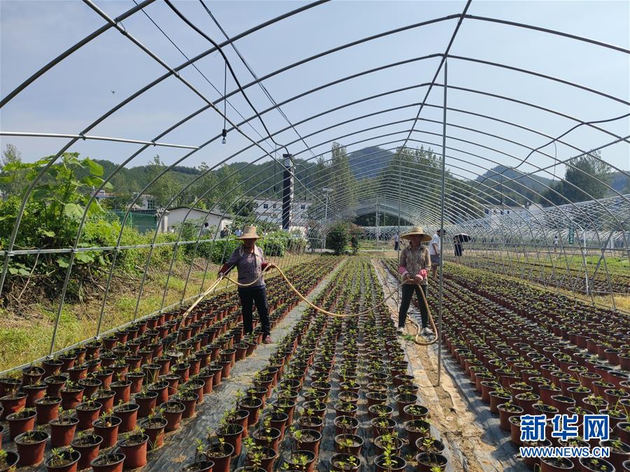 （決戰(zhàn)決勝脫貧攻堅&middot;圖文互動）（3）安居樂業(yè)并重，搬遷脫貧同步&mdash;&mdash;湖北88萬搬遷群眾脫貧觀察 