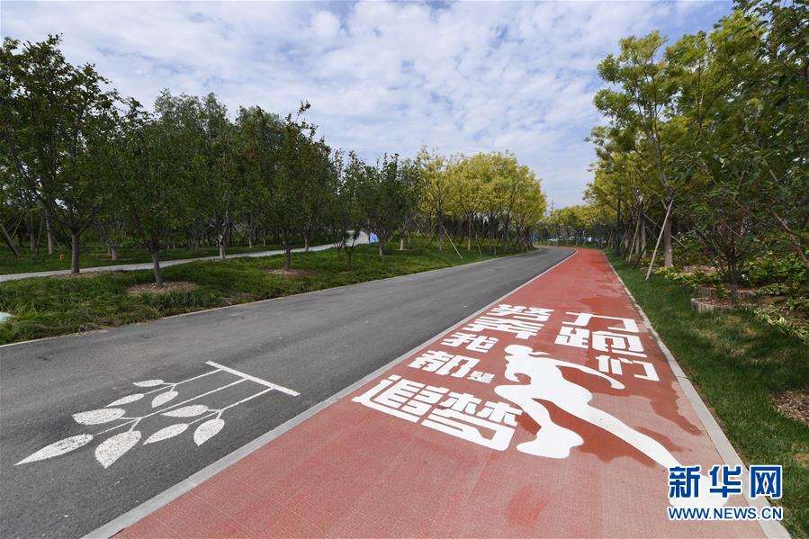 （新華全媒頭條&middot;圖文互動）（3）&ldquo;繡&rdquo;出古都新生活&mdash;&mdash;城市精細化治理的北京探索