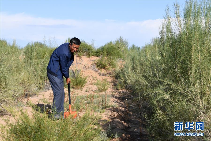 （新華全媒頭條&middot;走向我們的小康生活&middot;圖文互動）（8）&ldquo;苦甲&rdquo;不再，&ldquo;甘味&rdquo;綿長&mdash;&mdash;脫貧攻堅的甘肅味道