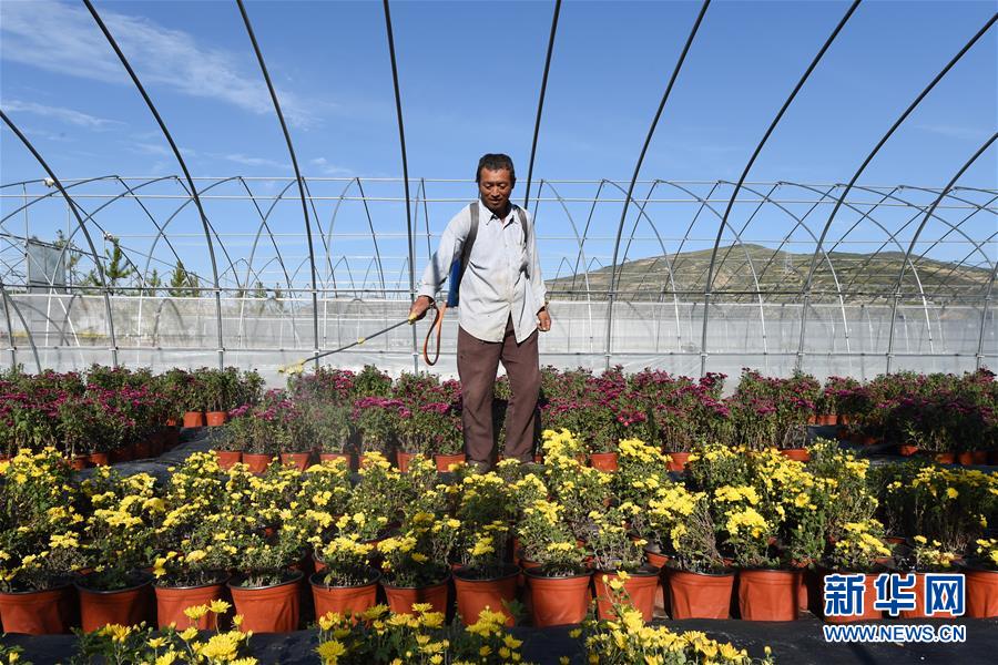 （新華全媒頭條&middot;走向我們的小康生活&middot;圖文互動）（10）&ldquo;苦甲&rdquo;不再，&ldquo;甘味&rdquo;綿長&mdash;&mdash;脫貧攻堅的甘肅味道