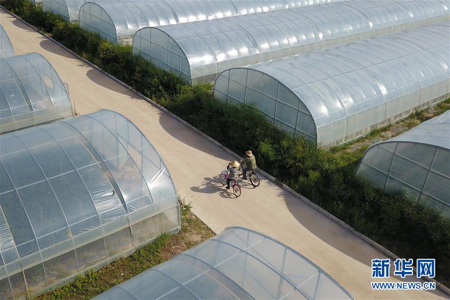 (走向我們的小康生活·圖文互動)(3)“荒涼”土地掘金記——甘肅旱作農業(yè)發(fā)展“變奏曲”