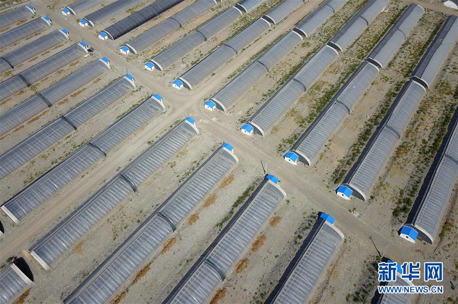 (走向我們的小康生活·圖文互動)(4)“荒涼”土地掘金記——甘肅旱作農業(yè)發(fā)展“變奏曲”