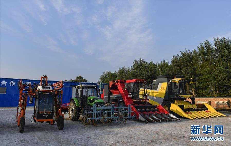 (新華全媒頭條·圖文互動(dòng))(5)為現(xiàn)代農(nóng)業(yè)探新路——來(lái)自吉林梨樹的田野報(bào)告