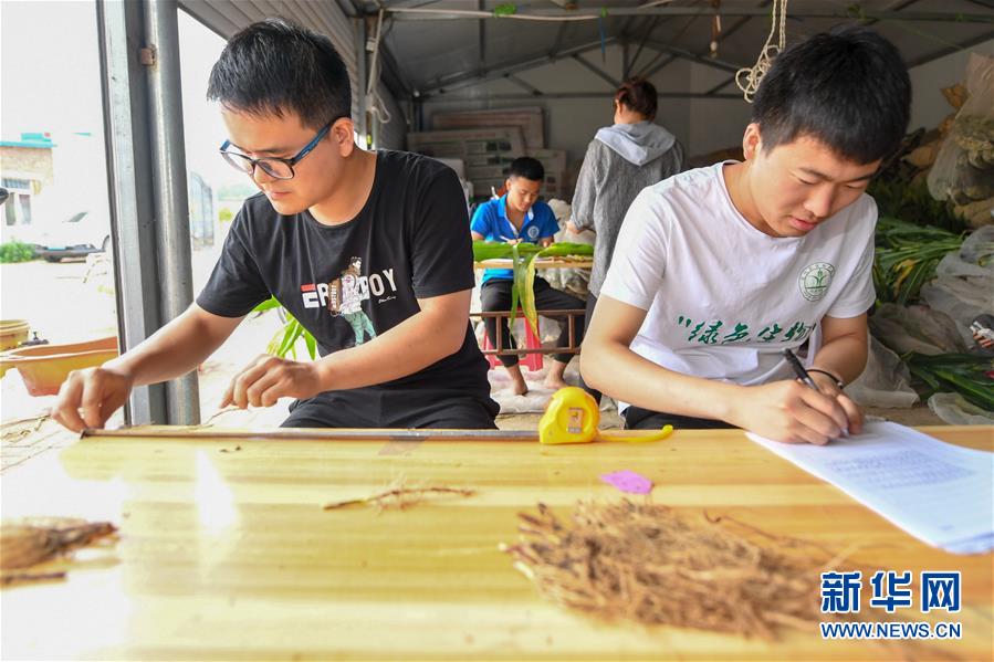 (新華全媒頭條·圖文互動(dòng))(8)為現(xiàn)代農(nóng)業(yè)探新路——來(lái)自吉林梨樹的田野報(bào)告