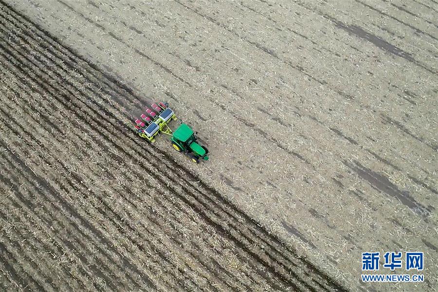 (新華全媒頭條·圖文互動(dòng))(11)為現(xiàn)代農(nóng)業(yè)探新路——來(lái)自吉林梨樹的田野報(bào)告