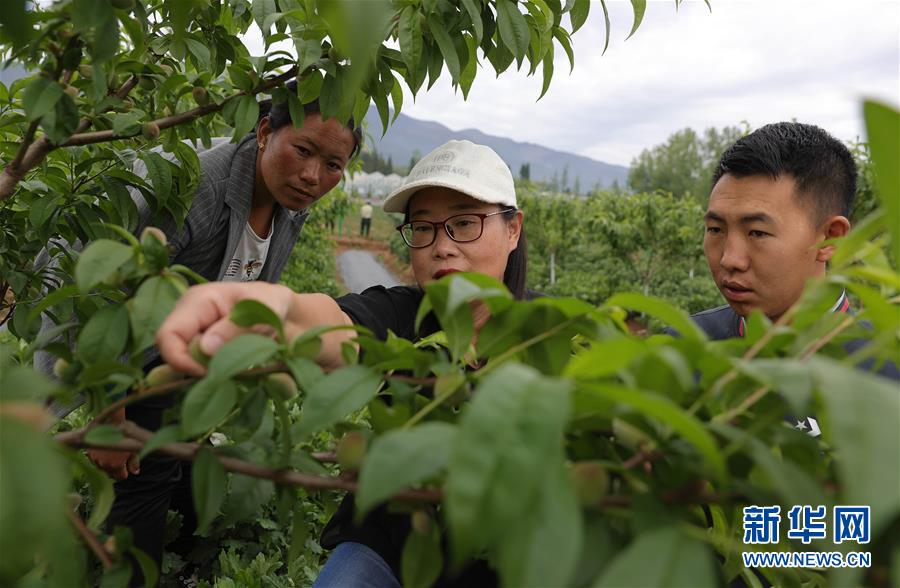 (決戰(zhàn)決勝脫貧攻堅·督戰(zhàn)未摘帽貧困縣·圖文互動)(3)12000多個“火種”點亮大涼山