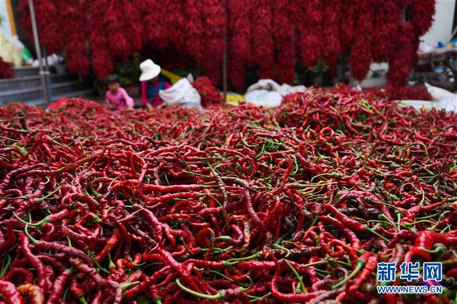 （走向我們的小康生活&middot;決戰(zhàn)決勝脫貧攻堅(jiān)&middot;圖文互動(dòng)）（7）甘青交界處的跨越&mdash;&mdash;保安族、撒拉族的脫貧故事 