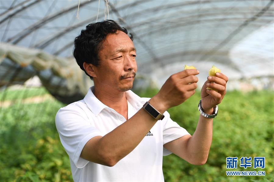 （新華全媒頭條&middot;走向我們的小康生活&middot;圖文互動）（7）黑土地上是我家&mdash;&mdash;在吉林，一瞥中國東北鄉(xiāng)村美麗未來