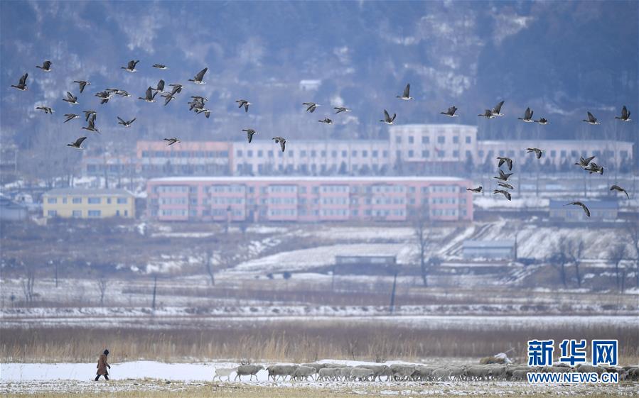 （新華全媒頭條&middot;走向我們的小康生活&middot;圖文互動）（14）黑土地上是我家&mdash;&mdash;在吉林，一瞥中國東北鄉(xiāng)村美麗未來