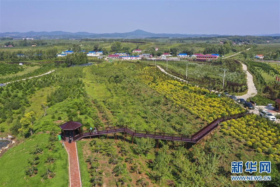 （新華全媒頭條&middot;走向我們的小康生活&middot;圖文互動）（16）黑土地上是我家&mdash;&mdash;在吉林，一瞥中國東北鄉(xiāng)村美麗未來