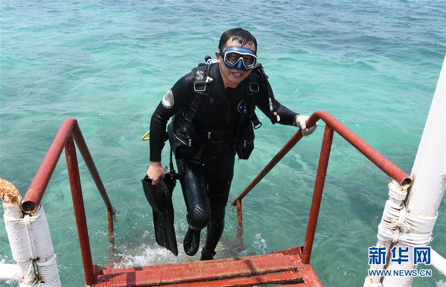 （在習(xí)近平新時(shí)代中國特色社會(huì)主義思想指引下&mdash;&mdash;新時(shí)代新作為新篇章&middot;習(xí)近平總書記關(guān)切事&middot;圖文互動(dòng)）（5）終不悔為國為民，攀高峰只爭朝夕&mdash;&mdash;來自科學(xué)家們的動(dòng)人故事