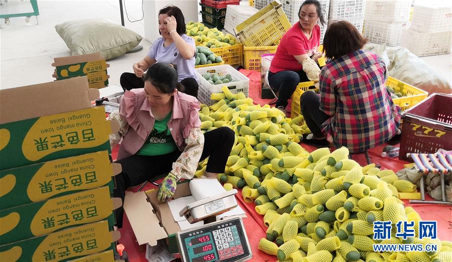 （決戰(zhàn)決勝脫貧攻堅(jiān)&middot;圖文互動(dòng)）（3）同飲一江水 攜手&ldquo;斬窮根&rdquo;&mdash;&mdash;深圳對(duì)口廣西河池、百色扶貧協(xié)作見聞