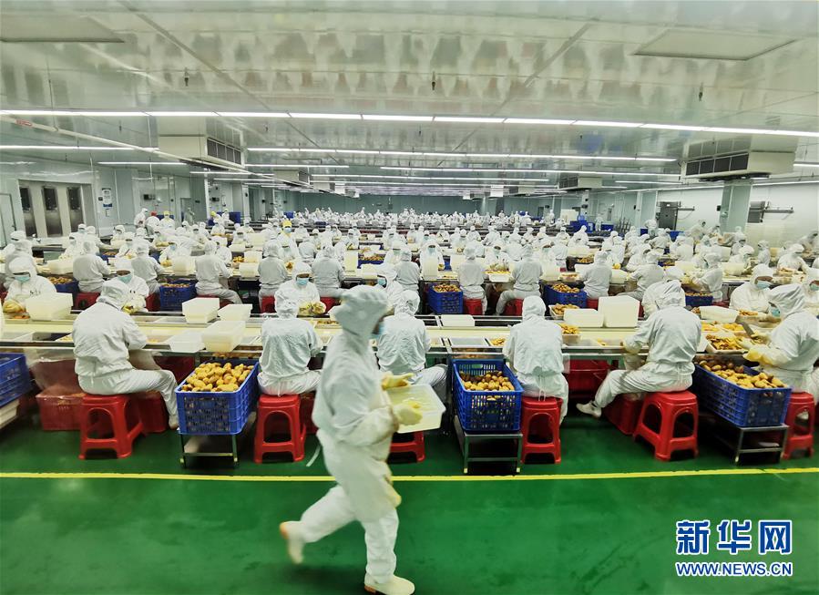 （決戰(zhàn)決勝脫貧攻堅(jiān)&middot;圖文互動(dòng)）（8）同飲一江水 攜手&ldquo;斬窮根&rdquo;&mdash;&mdash;深圳對(duì)口廣西河池、百色扶貧協(xié)作見聞