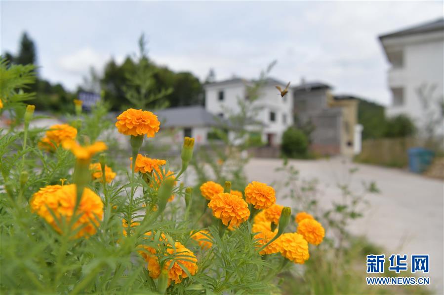 (走向我們的小康生活·圖文互動(dòng))(3)從廢棄礦山到生態(tài)“福地”——江西尋烏戰(zhàn)荒記