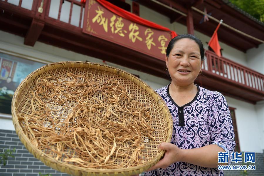 （新華全媒頭條&middot;走向我們的小康生活&middot;圖文互動(dòng)）（4）神山村&ldquo;神奇&rdquo;何在？&mdash;&mdash;井岡山深處覓答案