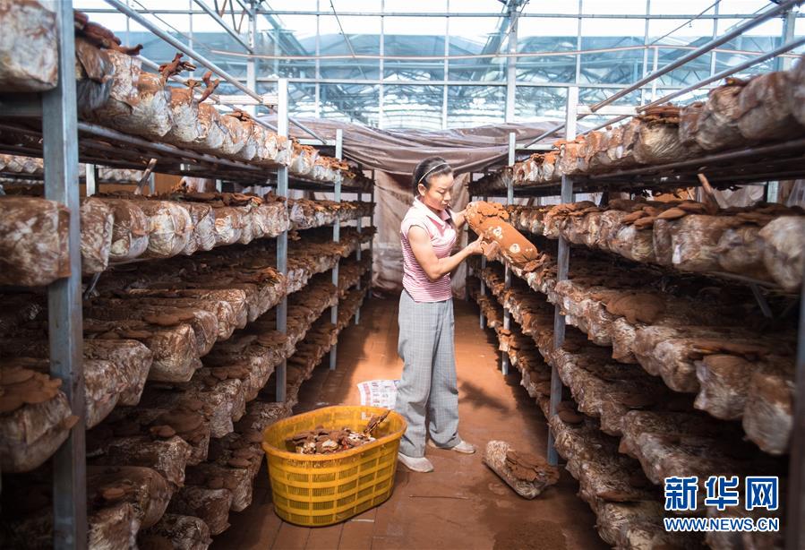 （新華全媒頭條&middot;走向我們的小康生活&middot;圖文互動）（3）特殊之年，荊楚大地書寫不平凡的答卷