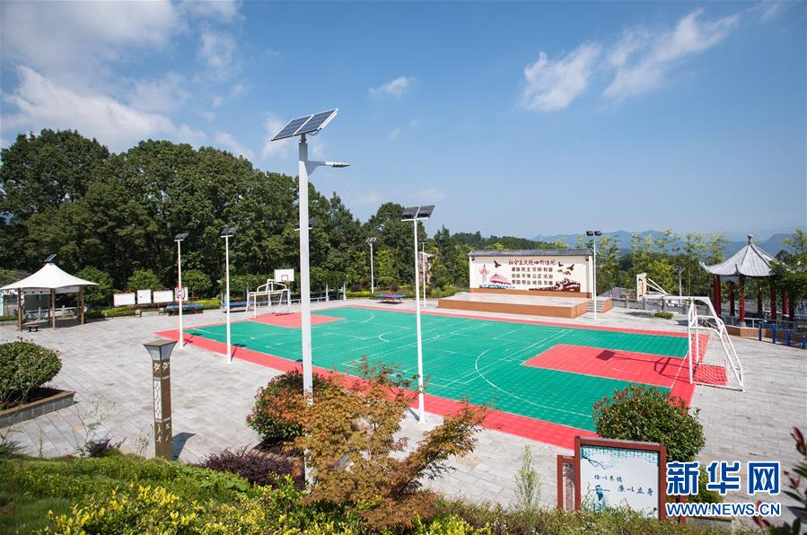 （新華全媒頭條&middot;走向我們的小康生活&middot;圖文互動）（6）特殊之年，荊楚大地書寫不平凡的答卷