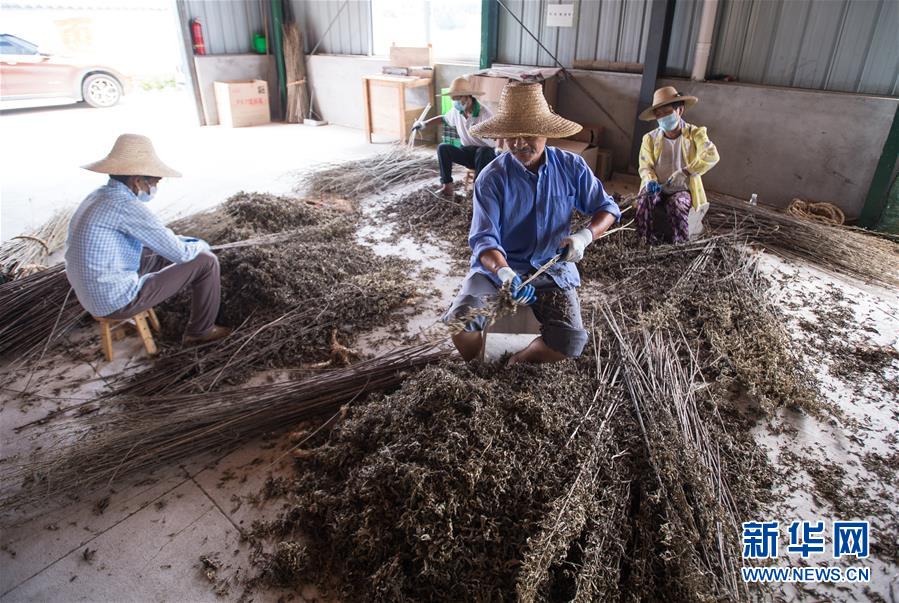 （新華全媒頭條&middot;走向我們的小康生活&middot;圖文互動）（10）特殊之年，荊楚大地書寫不平凡的答卷