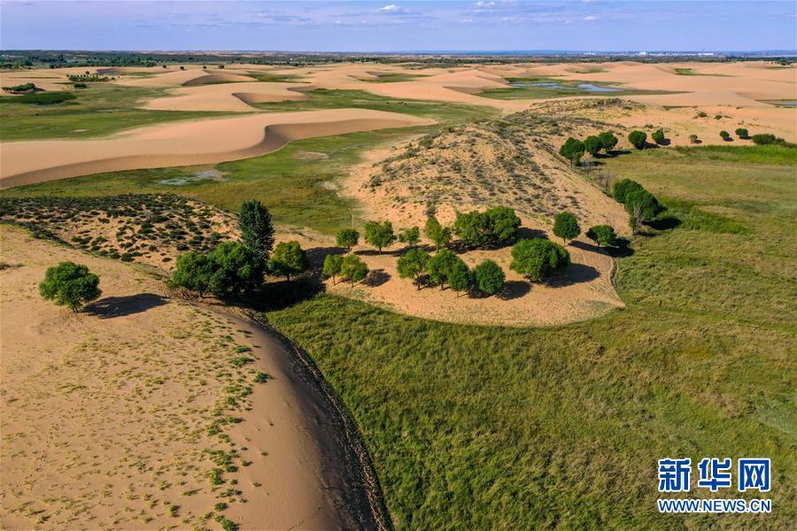 （在習近平新時代中國特色社會主義思想指引下&mdash;&mdash;新時代新作為新篇章&middot;習近平總書記關切事&middot;圖文互動）（10）綠意，在黃沙中鋪展&mdash;&mdash;我國防沙治沙紀實