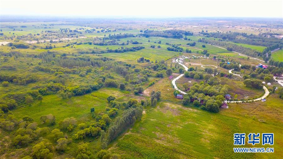 （在習近平新時代中國特色社會主義思想指引下&mdash;&mdash;新時代新作為新篇章&middot;習近平總書記關切事&middot;圖文互動）（1）綠意，在黃沙中鋪展&mdash;&mdash;我國防沙治沙紀實