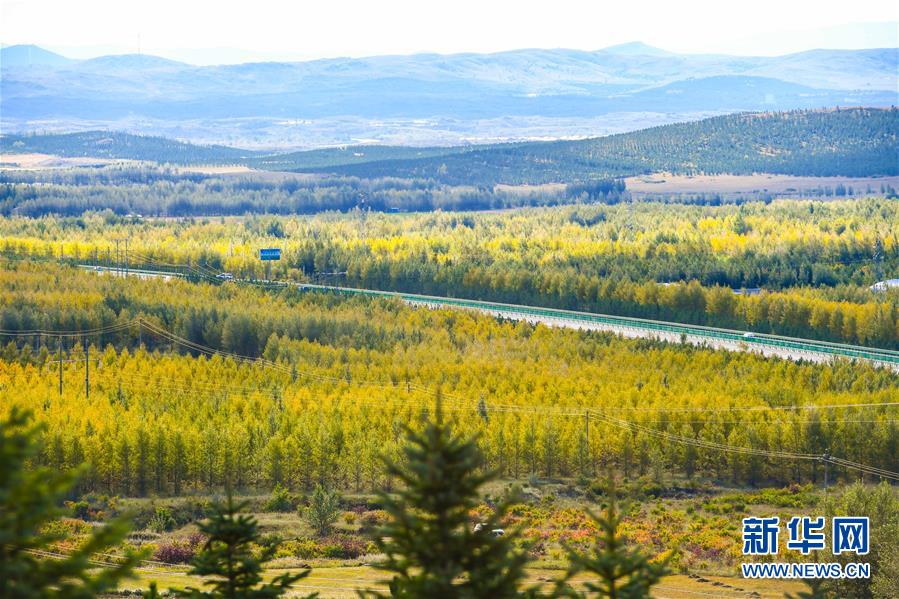 （在習近平新時代中國特色社會主義思想指引下&mdash;&mdash;新時代新作為新篇章&middot;習近平總書記關切事&middot;圖文互動）（7）綠意，在黃沙中鋪展&mdash;&mdash;我國防沙治沙紀實