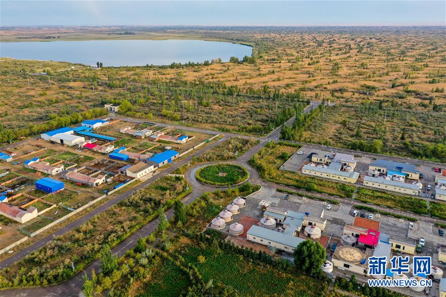 （在習近平新時代中國特色社會主義思想指引下&mdash;&mdash;新時代新作為新篇章&middot;習近平總書記關切事&middot;圖文互動）（12）綠意，在黃沙中鋪展&mdash;&mdash;我國防沙治沙紀實