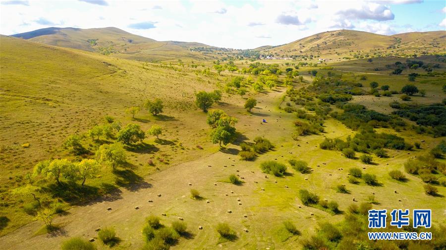 （在習近平新時代中國特色社會主義思想指引下&mdash;&mdash;新時代新作為新篇章&middot;習近平總書記關切事&middot;圖文互動）（4）綠意，在黃沙中鋪展&mdash;&mdash;我國防沙治沙紀實