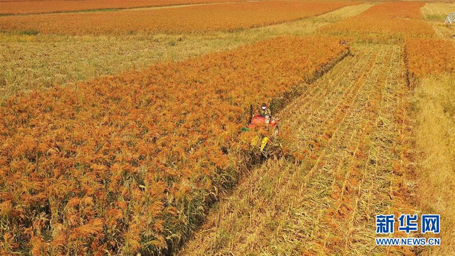 （決戰(zhàn)決勝脫貧攻堅(jiān)&middot;圖文互動(dòng)）（1）內(nèi)蒙古巴林左旗：土笤帚&ldquo;掃&rdquo;出新生活