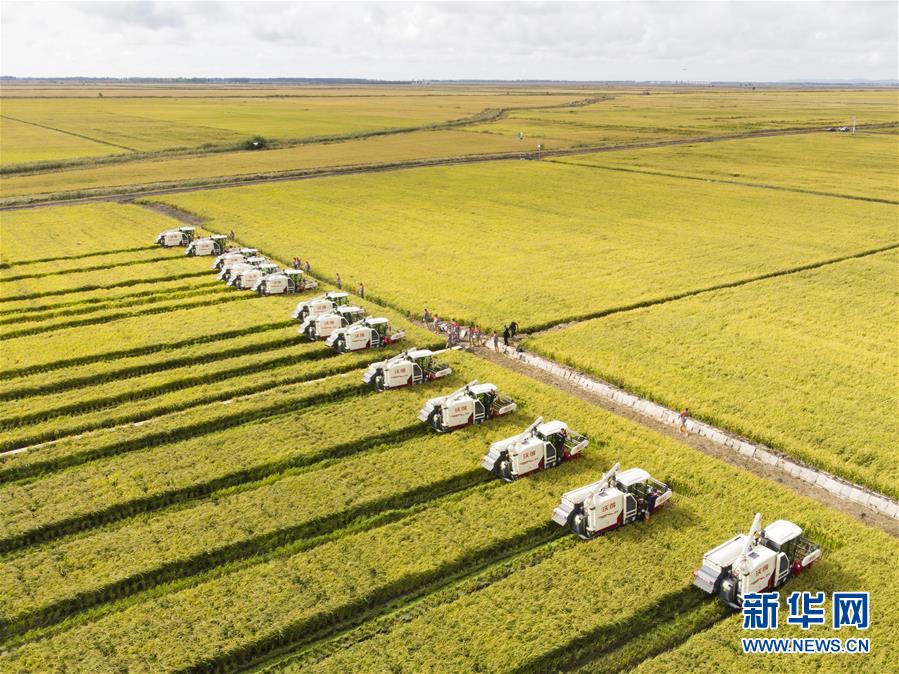 （新華全媒頭條&middot;圖文互動(dòng)）（15）奮斗結(jié)碩果，再寫新篇章&mdash;&mdash;寫在共和國(guó)71周年華誕之際