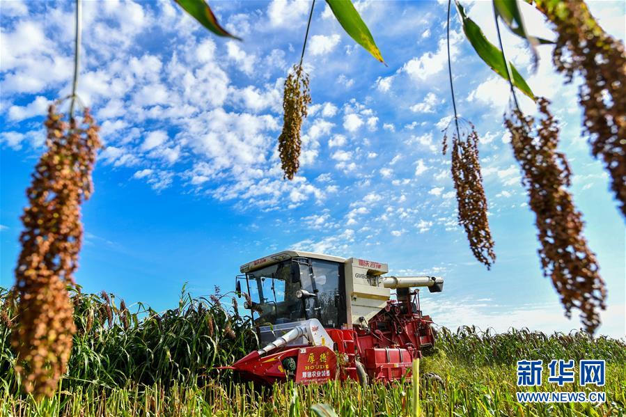 （新華全媒頭條&middot;圖文互動(dòng)）（17）奮斗結(jié)碩果，再寫新篇章&mdash;&mdash;寫在共和國(guó)71周年華誕之際