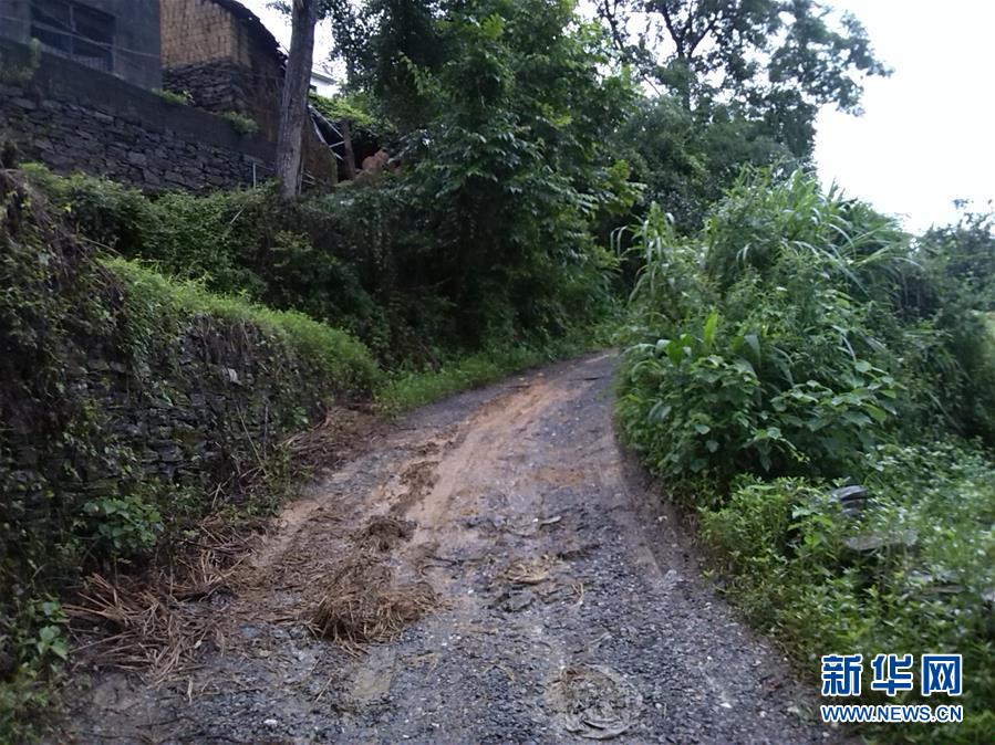 (集中連片特困地區(qū)貧困村調(diào)研行·圖文互動(dòng))(3)百果園里幸福長(zhǎng)——湖南鳳凰縣菖蒲塘村脫貧調(diào)查