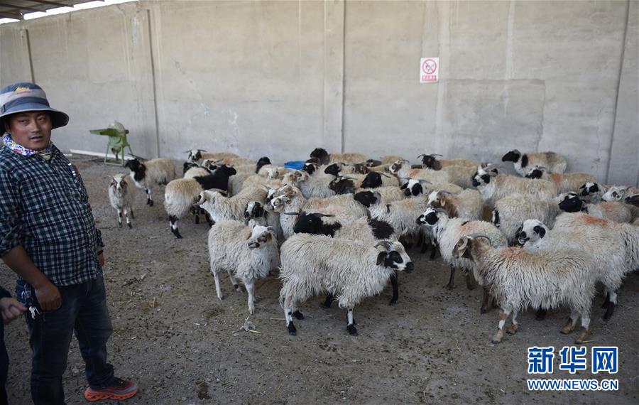 （集中連片特困地區(qū)貧困村調(diào)研行&middot;圖文互動(dòng)）（4）長江源村人的兩個(gè)家和幸福夢&mdash;&mdash;青海格爾木市長江源村脫貧調(diào)查