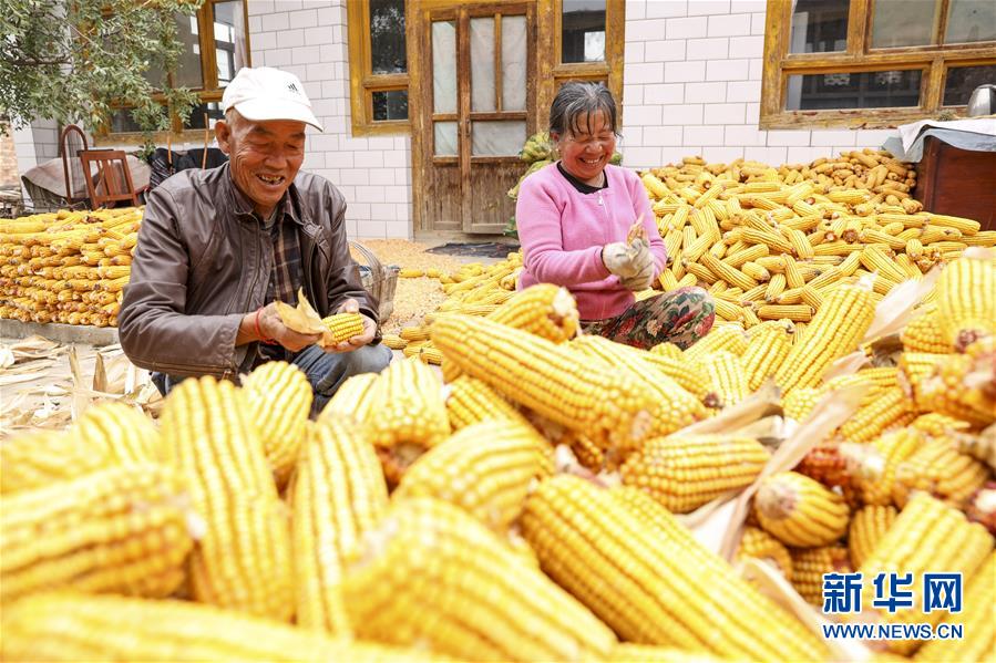 (全面建成小康社會(huì)“百城千縣萬(wàn)村調(diào)研行”·圖文互動(dòng))(4)寧夏華寺村:做活“土”文章 村民享小康
