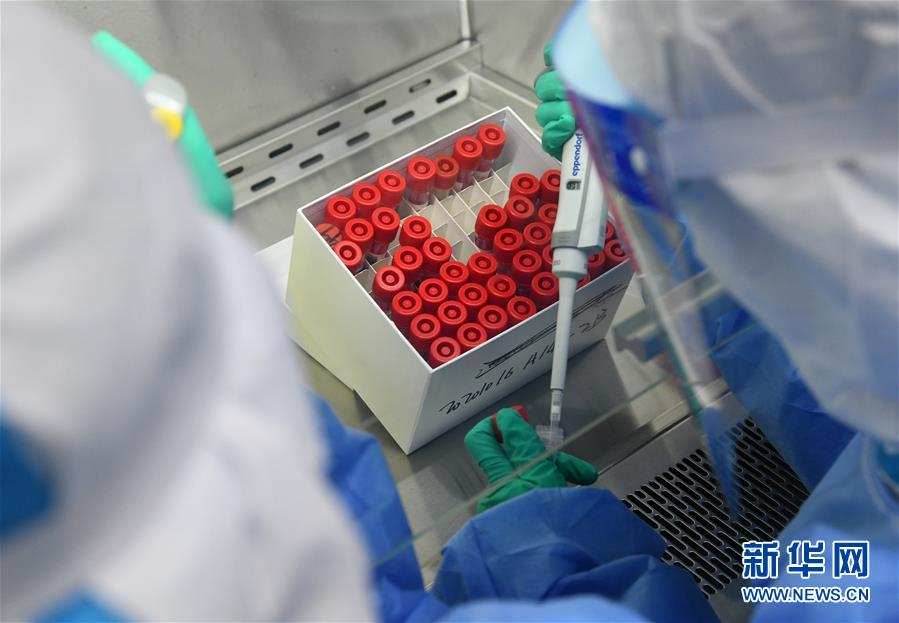 (聚焦疫情防控·圖文互動)(3)青島全員核酸檢測基本完成