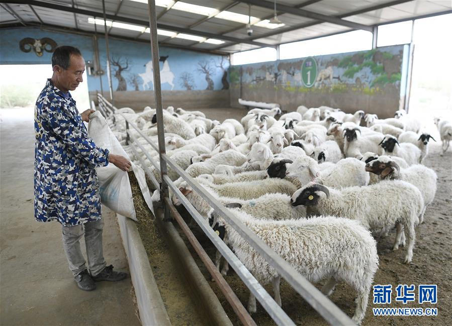 （新華全媒頭條&middot;圖文互動）（2）決戰(zhàn)決勝奪取脫貧攻堅戰(zhàn)全面勝利&mdash;&mdash;寫在第7個國家扶貧日之際