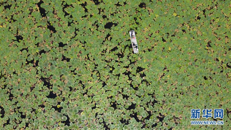 (新華全媒頭條·圖文互動)(3)長淮新“斗水”記——寫在新中國治淮70年之時