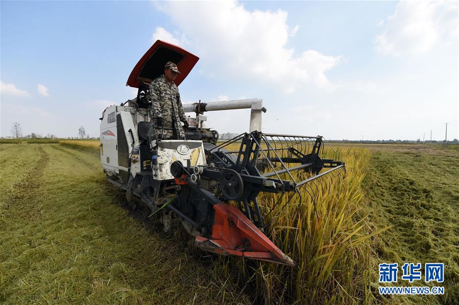 (新華全媒頭條·圖文互動)(7)長淮新“斗水”記——寫在新中國治淮70年之時