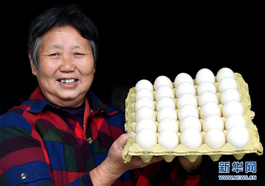 （決戰(zhàn)決勝脫貧攻堅(jiān)&middot;圖文互動(dòng)）（3）17代人追逐的夢想實(shí)現(xiàn)了&mdash;&mdash;記冀南平原劉秋口村變遷 