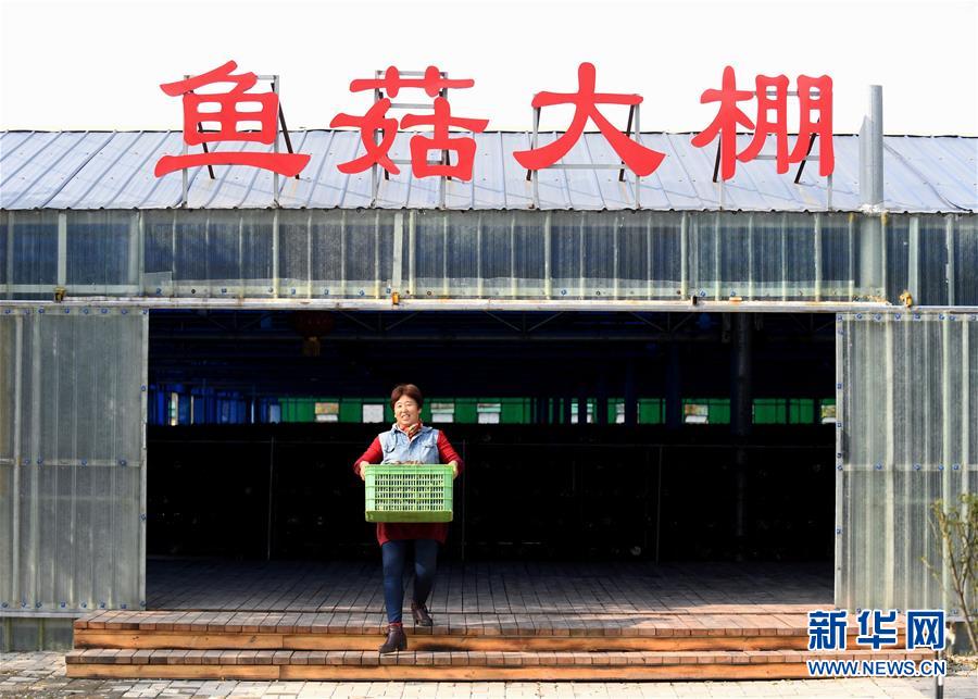 （決戰(zhàn)決勝脫貧攻堅(jiān)&middot;圖文互動(dòng)）（5）17代人追逐的夢想實(shí)現(xiàn)了&mdash;&mdash;記冀南平原劉秋口村變遷 