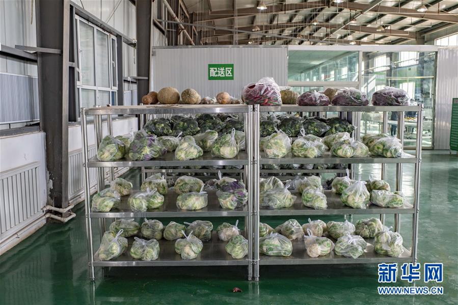 (聚焦疫情防控·圖文互動)(1)把握先機(jī) 應(yīng)對有序——新疆疏附縣全力阻斷新冠肺炎病毒傳播