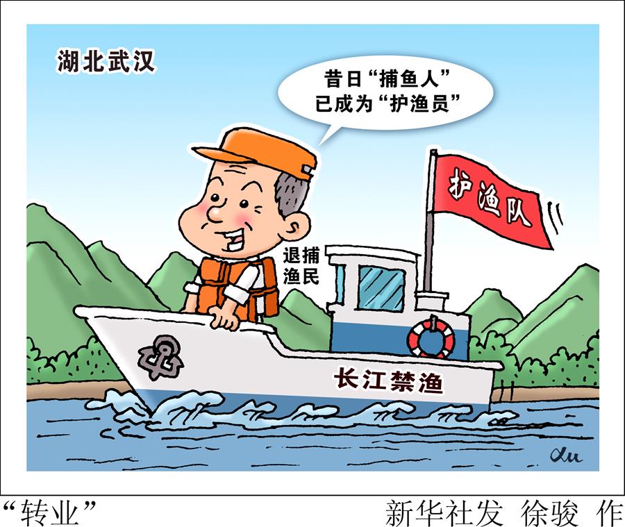 （圖表&middot;漫畫）［長(zhǎng)江漁民上岸］&ldquo;轉(zhuǎn)業(yè)&rdquo;